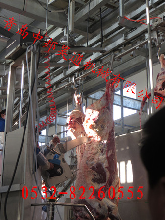 入口帶式劈半鋸